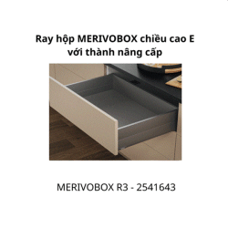 Ray hộp MERIVOBOX R3 chiều cao E 192 với thành nâng cấp 2541643, Xám đậm